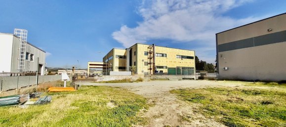 800m² Warehouse in San Floro, Italy No. 148147 12