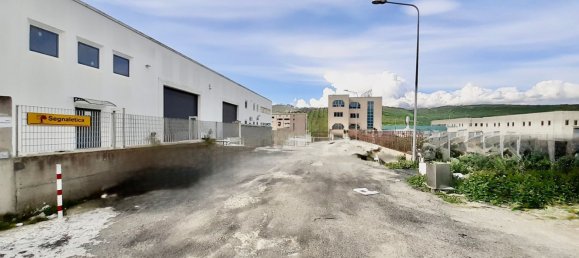 800m² Warehouse in San Floro, Italy No. 148147 6