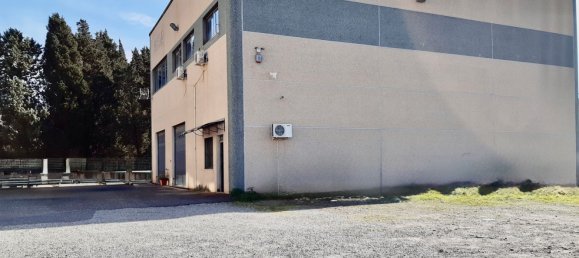800m² Warehouse in San Floro, Italy No. 148147 10