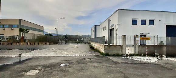 800m² Warehouse in San Floro, Italy No. 148147 8