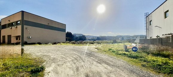 800m² Warehouse in San Floro, Italy No. 148147 14