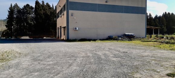 800m² Warehouse in San Floro, Italy No. 148147 9