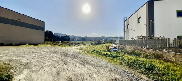 800m² Warehouse in San Floro, Italy No. 148147 13
