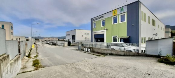 800m² Warehouse in San Floro, Italy No. 148147 5