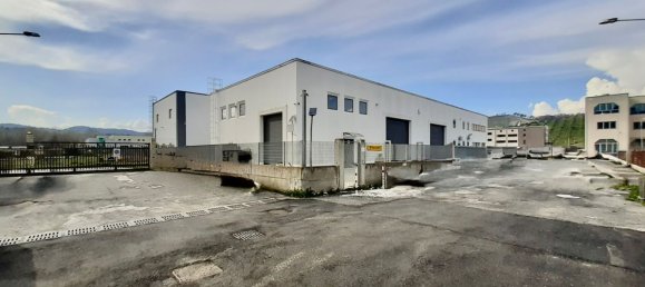 800m² Warehouse in San Floro, Italy No. 148147 7