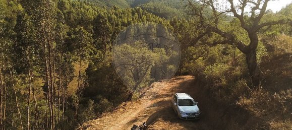 Дом с 3 спальнями в Сан Теотониу, Португалия № 17756 7