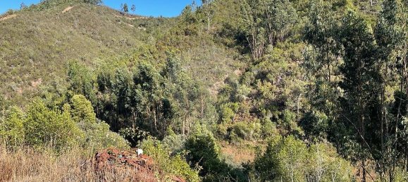 Дом с 3 спальнями в Сан Теотониу, Португалия № 17756 4