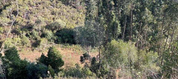 Дом с 3 спальнями в Сан Теотониу, Португалия № 17756 18