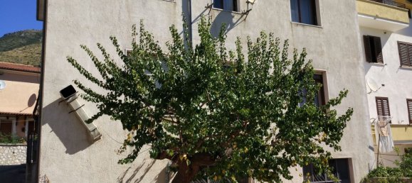 6 rooms House in San Pietro Infine, Italy No. 255013 3