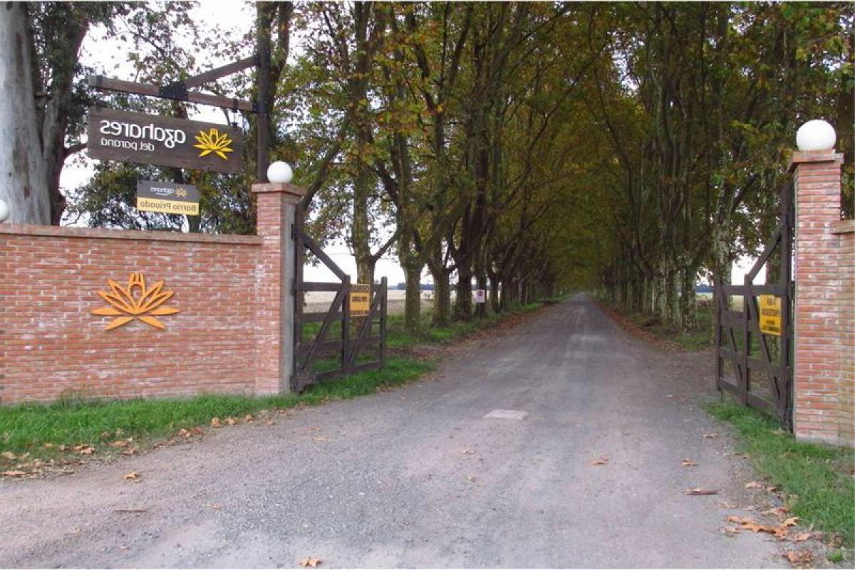  Land in Santa Fe, Argentina No. 30737