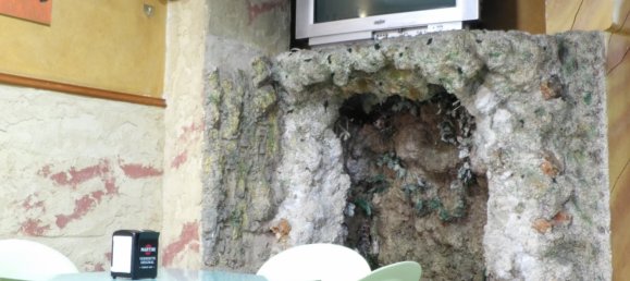 Коммерческая недвижимость 150м² в Аликанте, Испания № 65901 10