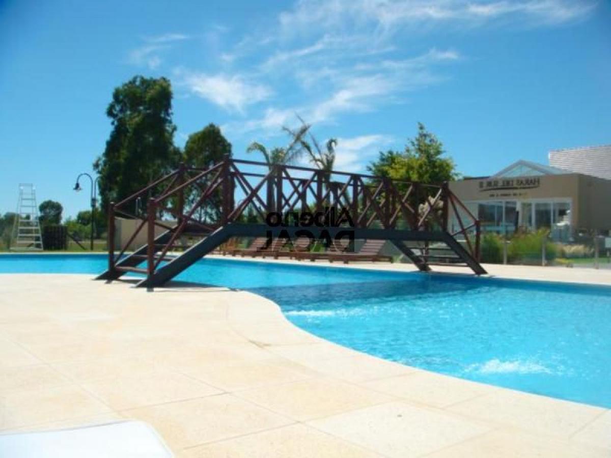  Land in Campo Creado, Argentina No. 46224