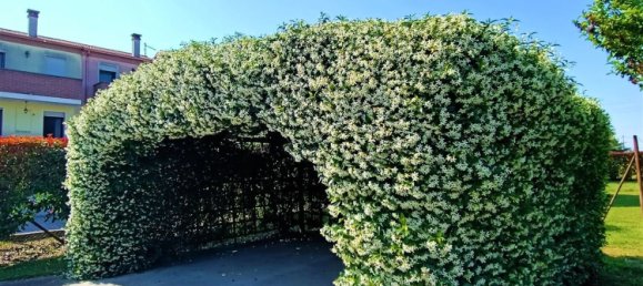 4غرفة منزل في Adria, Italy رقم 220931 5