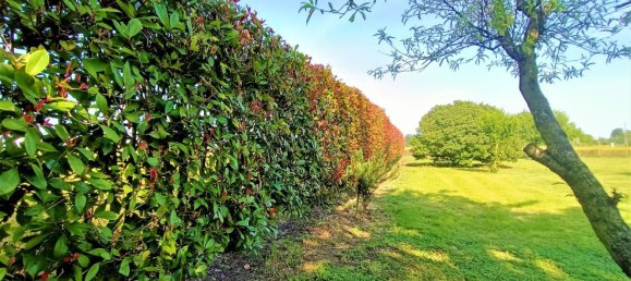 4غرفة منزل في Adria, Italy رقم 220931 48