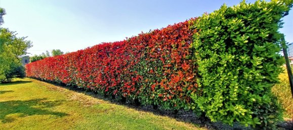 4غرفة منزل في Adria, Italy رقم 220931 6