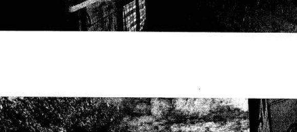 Apartamento de 6 dormitorios en Altopascio, Italy No. 50476 15