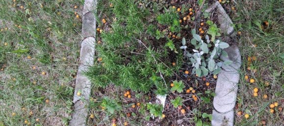 Terreno em Stuttgart, Germany N.º 254617 4