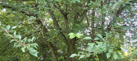 Terreno em Stuttgart, Germany N.º 254617 3