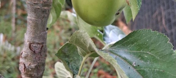 Terreno em Stuttgart, Germany N.º 254617 2