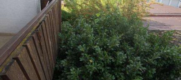 5 bedrooms Townhouse in Schweinfurt, Germany No. 230517 33