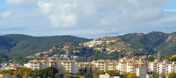 4 bedrooms Penthouse in Palma de Majorca, Spain No. 153029 31