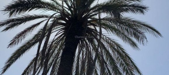 5-Zimmer Haus in Ragusa, Italy, Nr. 93145 6