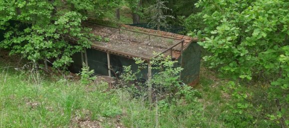 Terreno em Arezzo, Italy 8224 m² N.º 256257 6