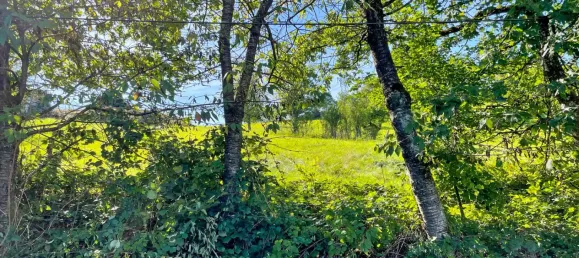 Land in Oberbergischer, Germany No. 138300 6