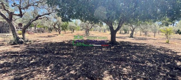 8 rooms Villa in Chiaramonte Gulfi, Italy No. 125765 45