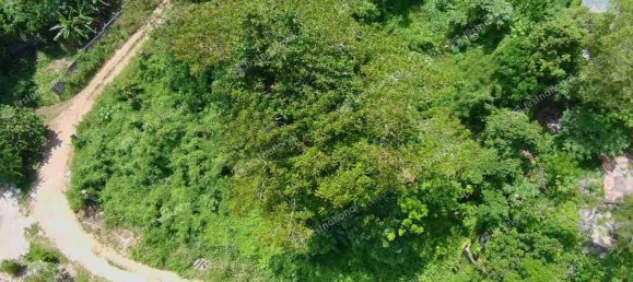 3092m² Land in Port-Vila, Vanuatu No. 42 4