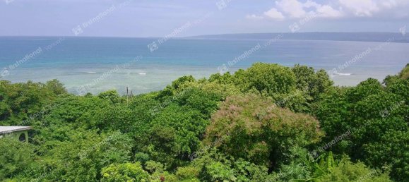 3092m² Land in Port-Vila, Vanuatu No. 42 6