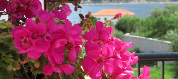 Villa T7 em Phocis, Greece N.º 7057 10