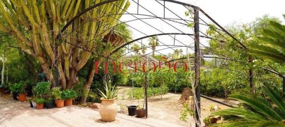 5 Schlafzimmer Haus in Alicante, Spain, Nr. 161528 25