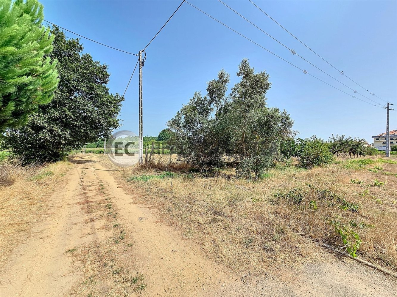  Land in Oia, Portugal No. 311955