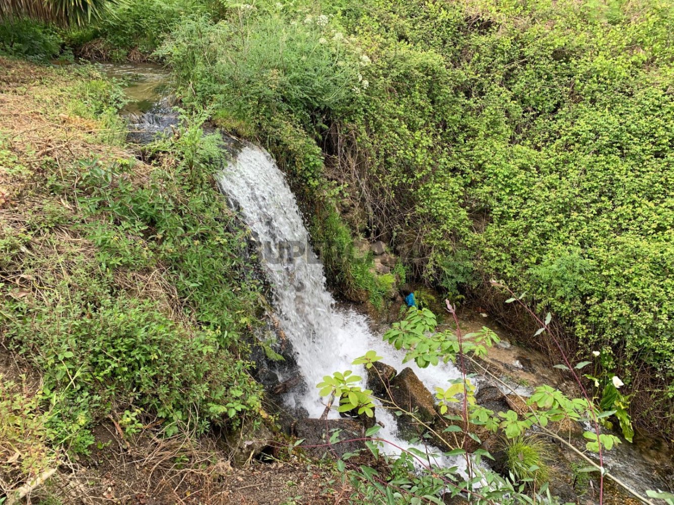 1 Schlafzimmer Haus in Covilha, Portugal, Nr. 197690