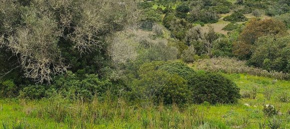 1068m² Land in Mexilhoeira Grande, Portugal No. 165058 14