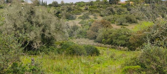1068m² Land in Mexilhoeira Grande, Portugal No. 165058 15