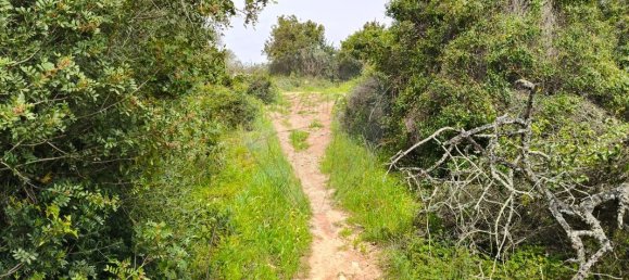 1068m² Land in Mexilhoeira Grande, Portugal No. 165058 12