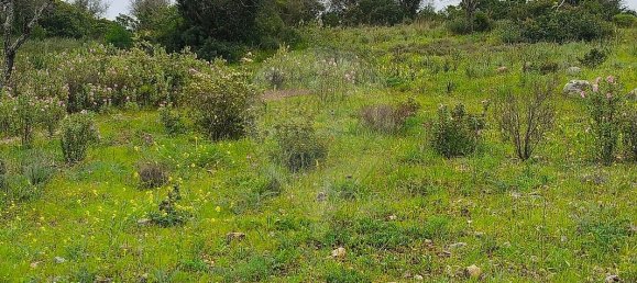 1068m² Land in Mexilhoeira Grande, Portugal No. 165058 13