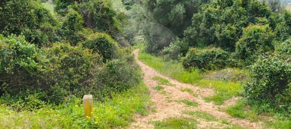 1068m² Land in Mexilhoeira Grande, Portugal No. 165058 20