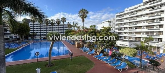 1 chambre Appartement à Puerto de la Cruz, Spain No. 66240 10