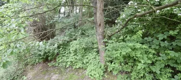  قطعة أرض في Diepholz, Germany رقم 323559 7