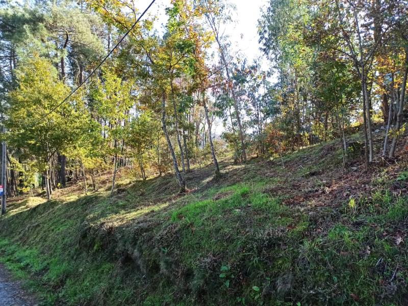 593m² Land in Arcos de Valdevez, Portugal No. 237077