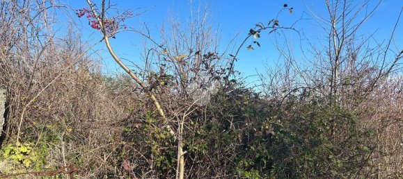 4774m² Land in San Michele di Serino, Italy No. 152769 3