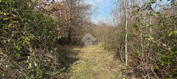 4774m² Land in San Michele di Serino, Italy No. 152769 10