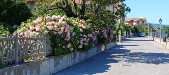 5 rooms Apartment in Garessio, Italy No. 235897 10