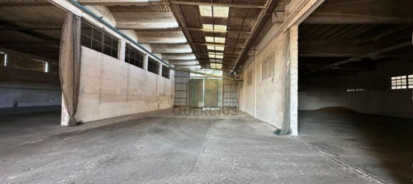 Propiedad comercial en Albaredo d'Adige, Italy 1900 m² No. 348479 4