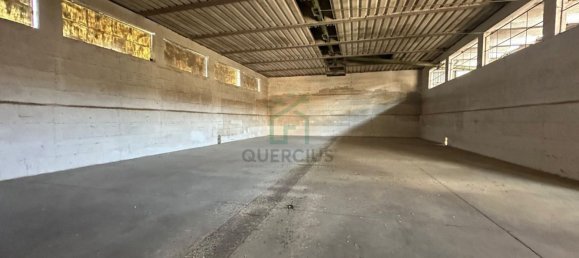 Propiedad comercial en Albaredo d'Adige, Italy 1900 m² No. 348479 14