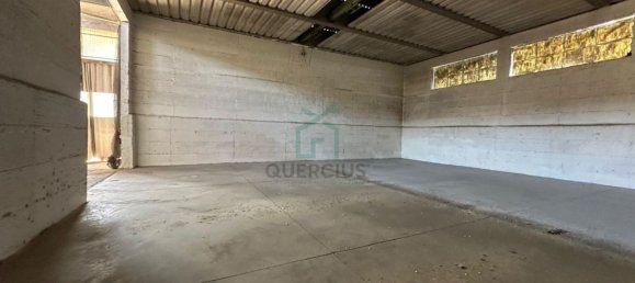 Propiedad comercial en Albaredo d'Adige, Italy 1900 m² No. 348479 10