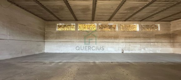 Propiedad comercial en Albaredo d'Adige, Italy 1900 m² No. 348479 13